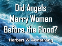 Listen to Did Angels Marry Women Before the Flood?