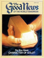 What Do You Mean - The Spirit of the Law?
Good News Magazine
January 1984
Volume: VOL. XXXI, NO. 1
