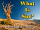 What Is Sin?