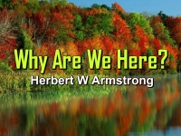 Listen to  Why Are We Here?