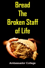 Bread The Broken Staff of Life