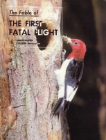 The Fable of: The First Fatal Flight