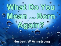 What Do You Mean - Born Again?