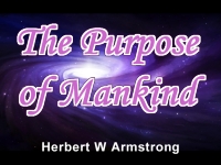 The Purpose of Mankind