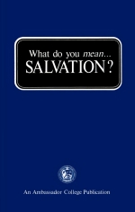 What do you mean... SALVATION?