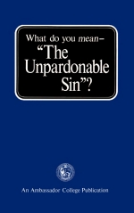 What Do You Mean - The Unpardonable Sin?