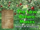 The Law Before Moses