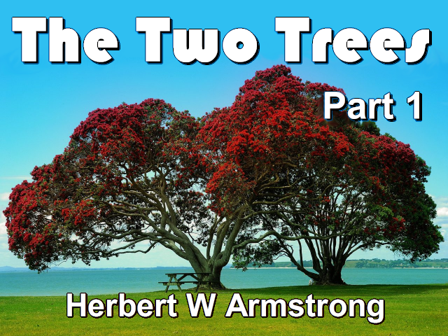 The Two Trees - Part 1