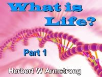 Listen to What is Life? - Part 1