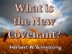 What is the New Covenant?