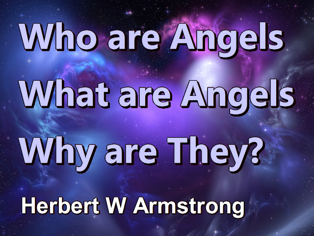 Who are Angels, What are Angels, Why are They?