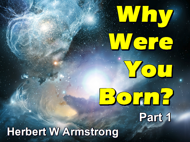 Why Were You Born? Part 1