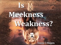 Listen to  Is Meekness Weakness?