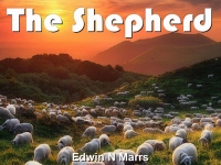 Listen to  The Shepherd