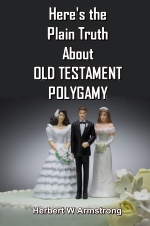 Here's the Plain Truth About OLD TESTAMENT POLYGAMY