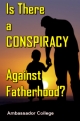 Is There a CONSPIRACY Against Fatherhood?