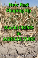 Now Fast Shaping Up - World CRISIS in AGRICULTURE