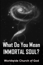 What Do You Mean... IMMORTAL SOUL?