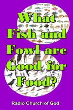 What Fish and Fowl are Good for Food?