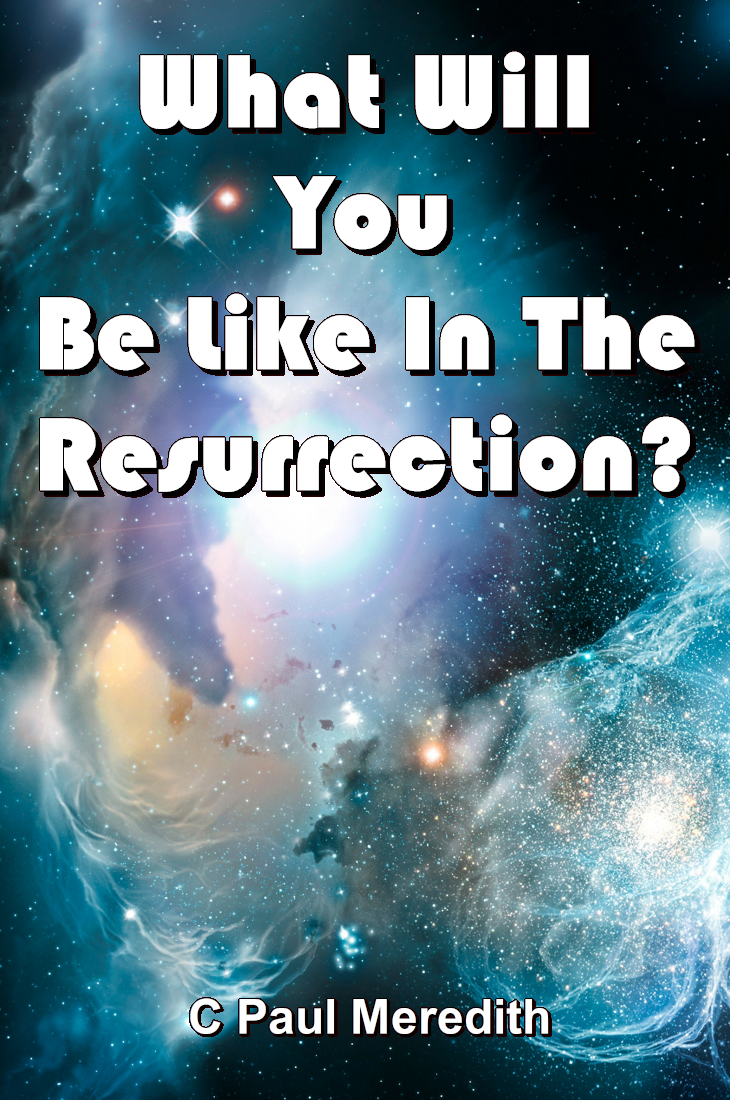 What Will You Be Like In The Resurrection?