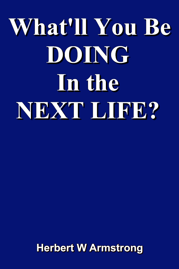 What'll You Be DOING In the NEXT LIFE?