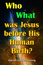 Who - What - was Jesus before His Human Birth?