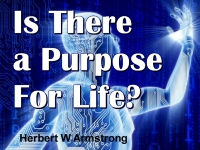 Is There a Purpose For Life?