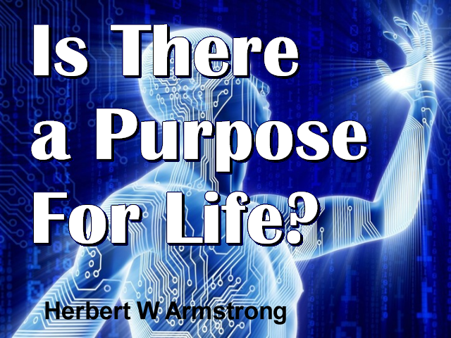 Is There a Purpose For Life?